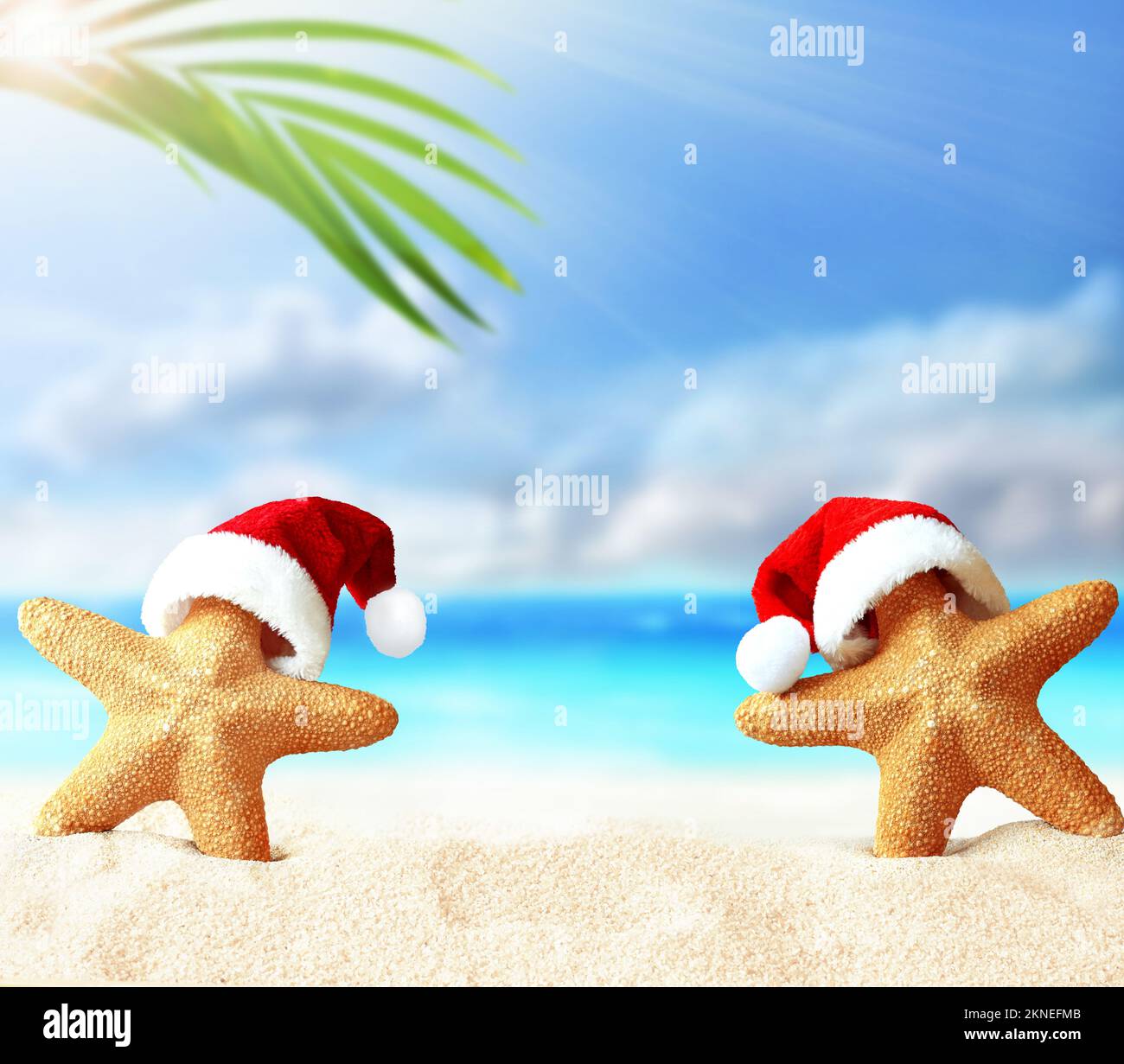 Jupe De Sapin De Noël Imprimée Père Noël Plage Et étoiles De Mer – En Polyester, 3 Tailles (S, M, L), Facile à Installer