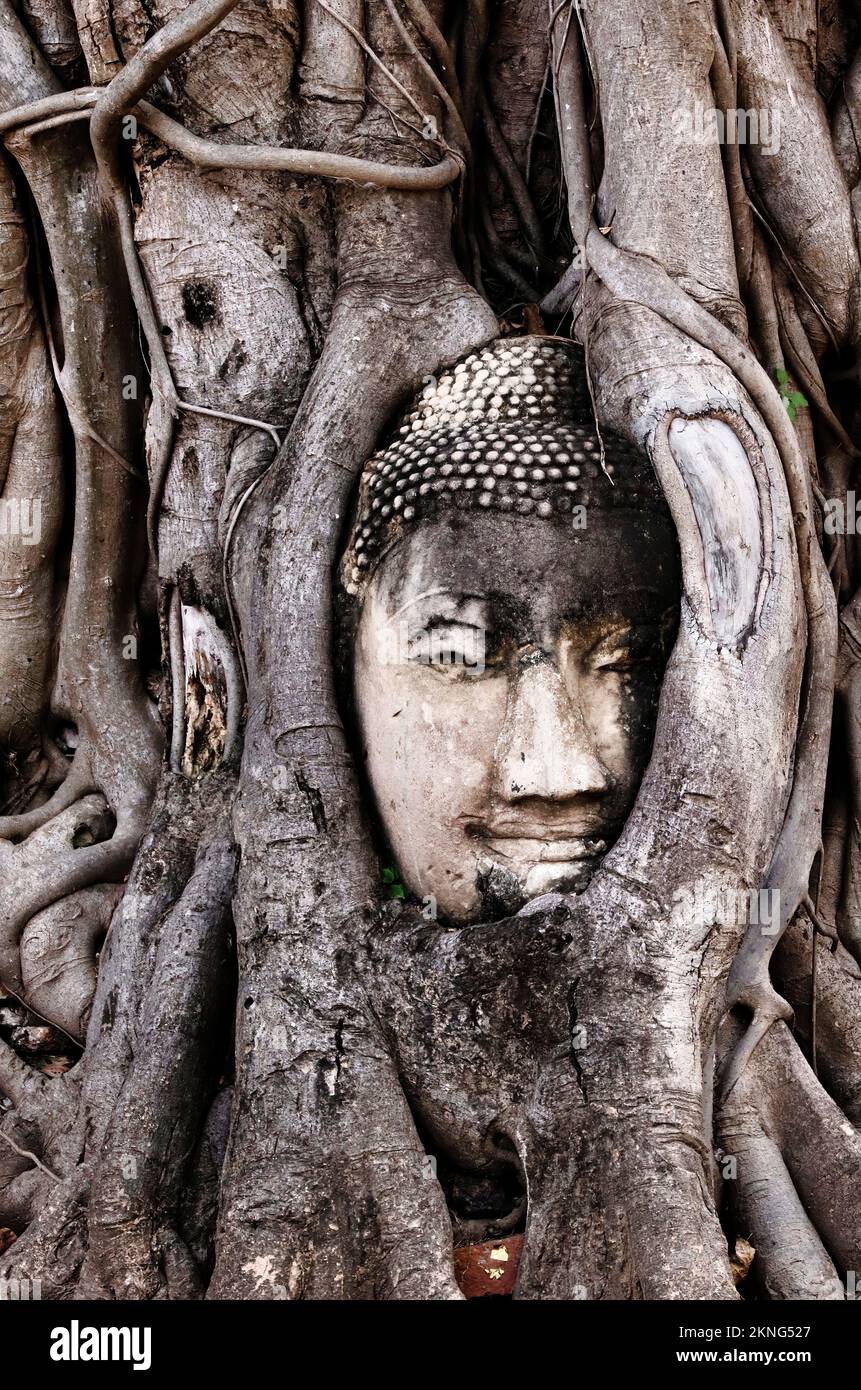 Thaïlande, Wat Phra si Sanphet (Temple du Saint, Splendid Omniscient