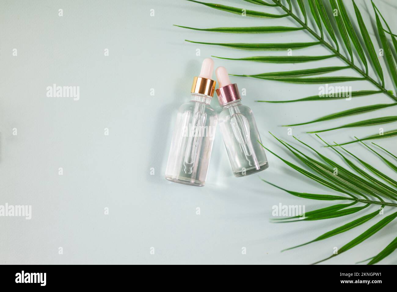 flacon en verre avec un produit cosmétique et une pipette pour le soin de la peau sur le fond d'une feuille de palmier Banque D'Images