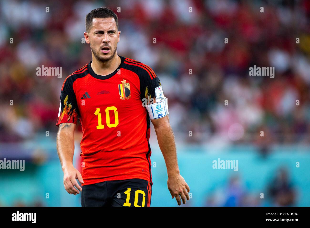 Doha, Qatar. 27th novembre 2022. Eden Hazard of Belgium lors de la coupe du monde de la FIFA Qatar 2022 Group F Match entre la Belgique et le Maroc au stade Al Thumama à Doha, Qatar sur 27 novembre 2022 (photo par Andrew Surma/ Credit: SIPA USA/Alay Live News Banque D'Images