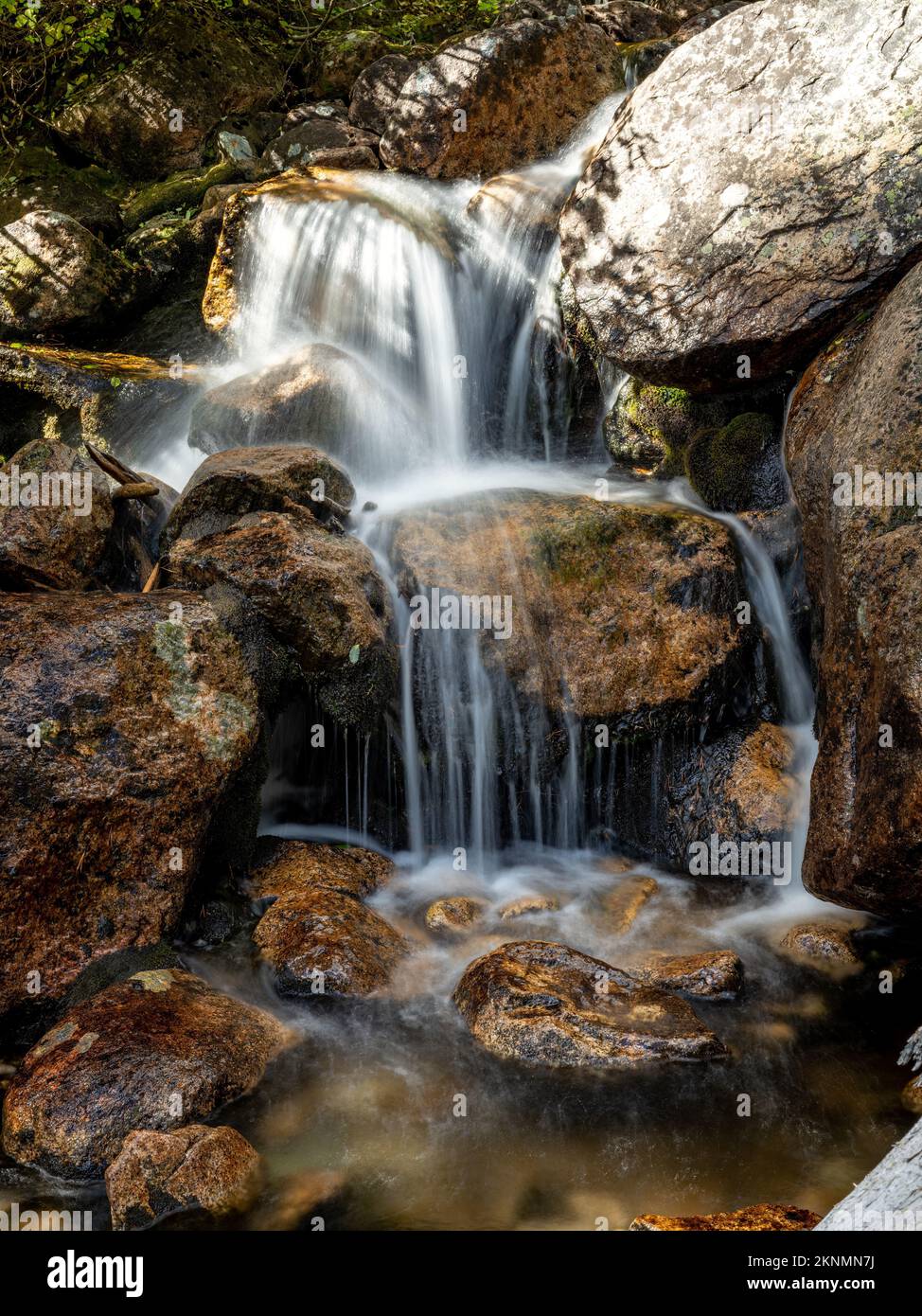 Petite cascade en pierre profonde dans la forêt de l'Idaho Banque D'Images