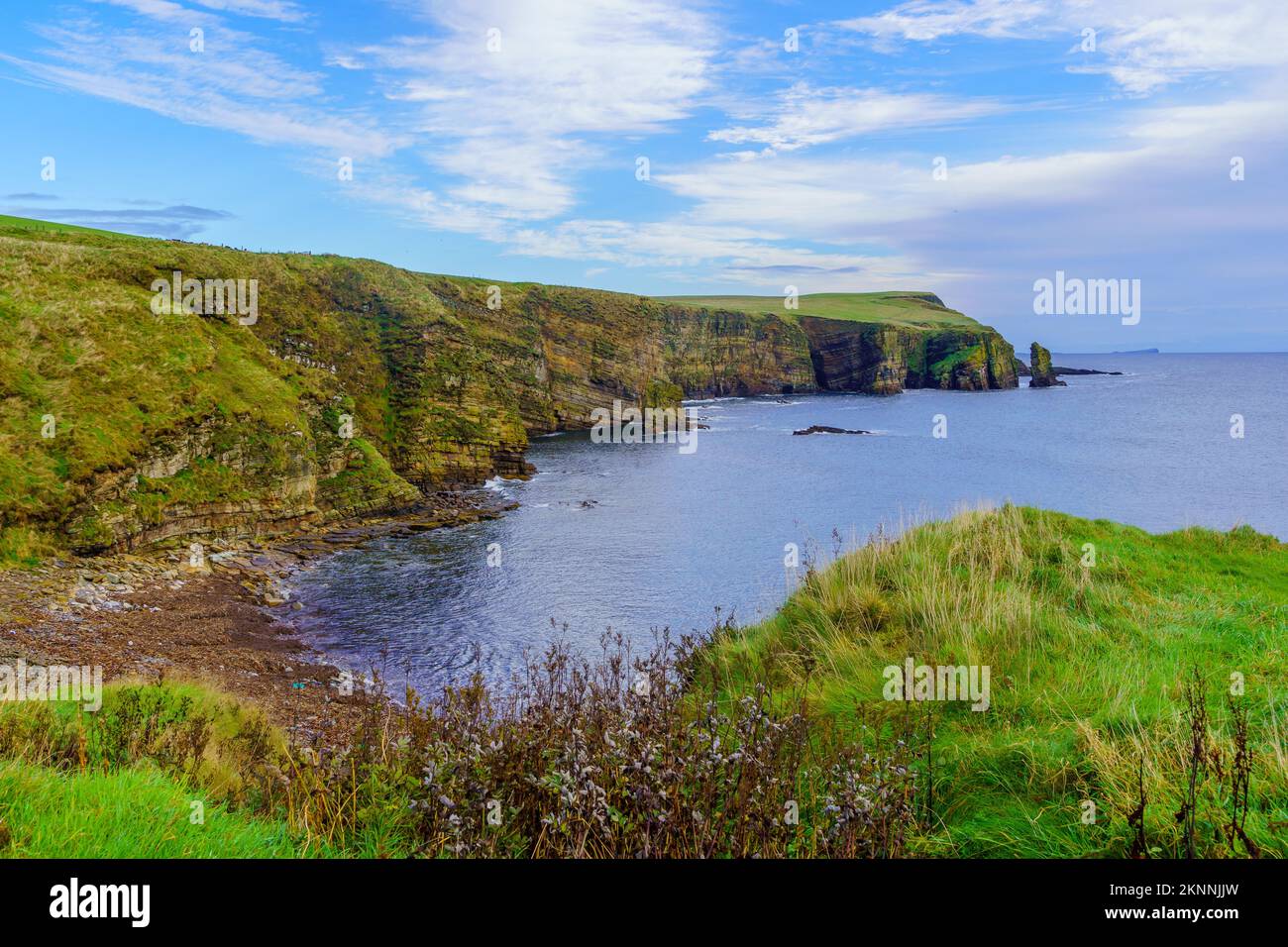 Vue sur les falaises le long de la côte, avec le point de départ d'Ossi et la baie de Windwick. Île de South Ronaldsay, Orkney Islands, Écosse, Royaume-Uni Banque D'Images