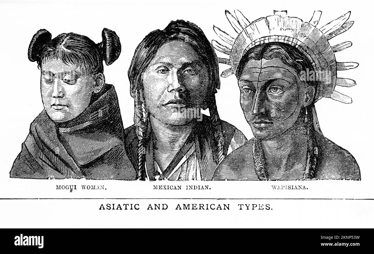 Gravure de différents types de personnes raciales, vers 1880 Banque D'Images