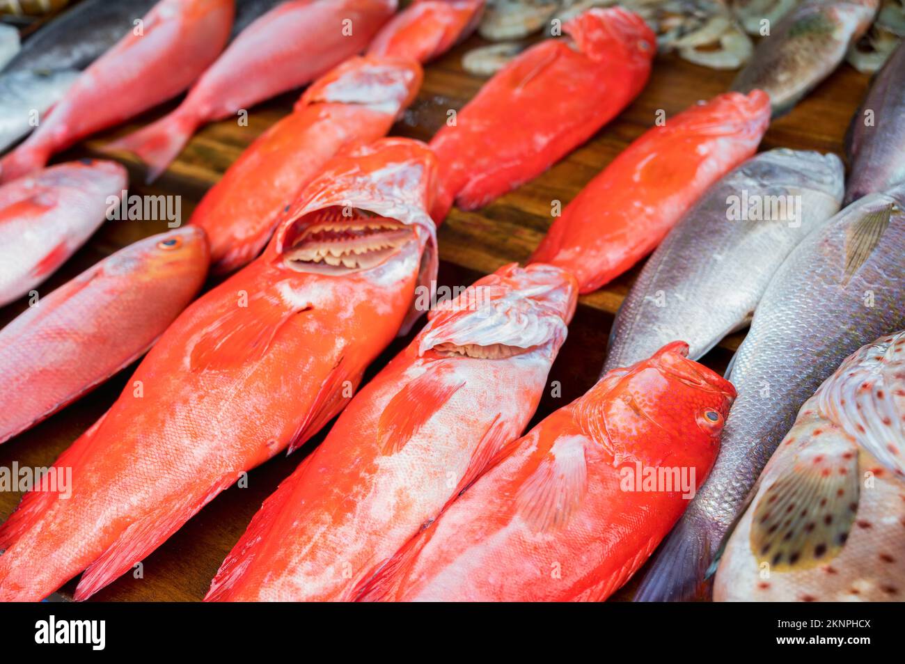 La mer des poissons à marché en Asie près de village de pêcheurs Banque D'Images
