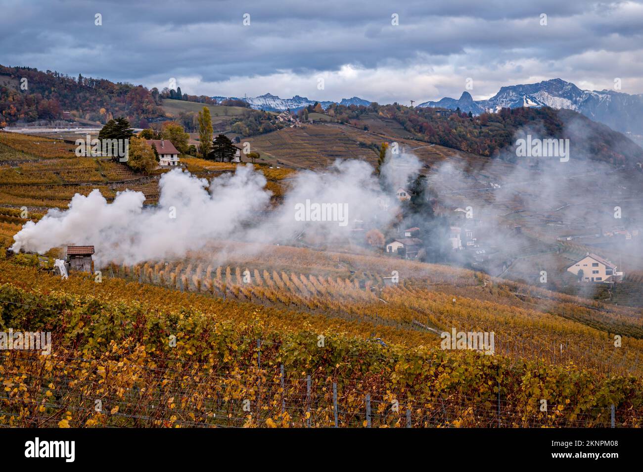 Les branches de l'usine brûlent dans le feu. Vignoble Lavaux, montagne et lac de Genève avec fumée. Patrimoine mondial de l'UNESCO en automne. Pollution de l'air. Banque D'Images