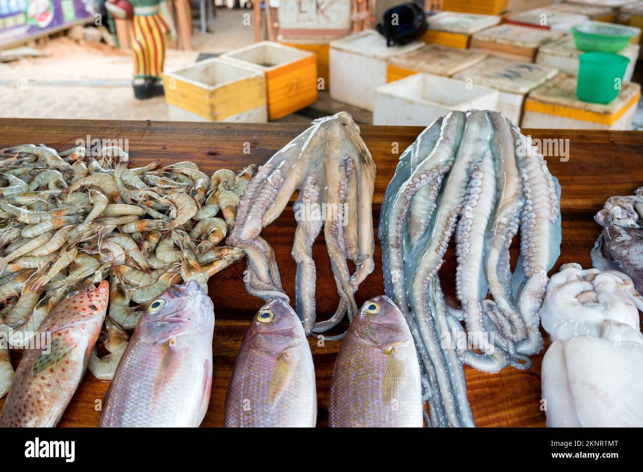 La mer des poissons et fruits de mer en Asie marché près de village des pêcheurs Banque D'Images