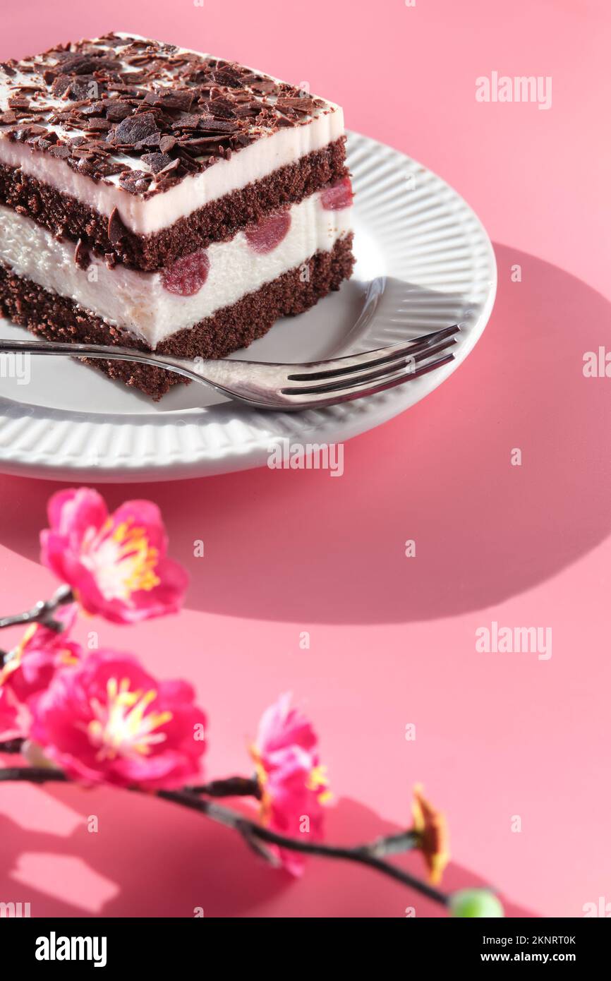 Gâteau au chocolat avec cerises aigres. Morceau de gâteau sur une assiette avec fourchette. Dessert sucré sur fond rose avec fleurs de prune magenta vibrantes. Banque D'Images