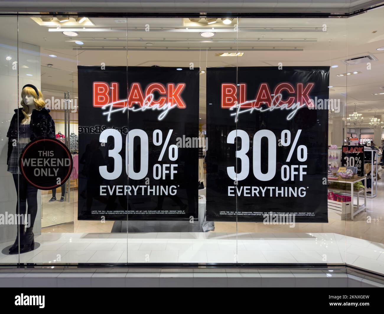 Affiche de solde du Vendredi fou dans le centre commercial Banque D'Images