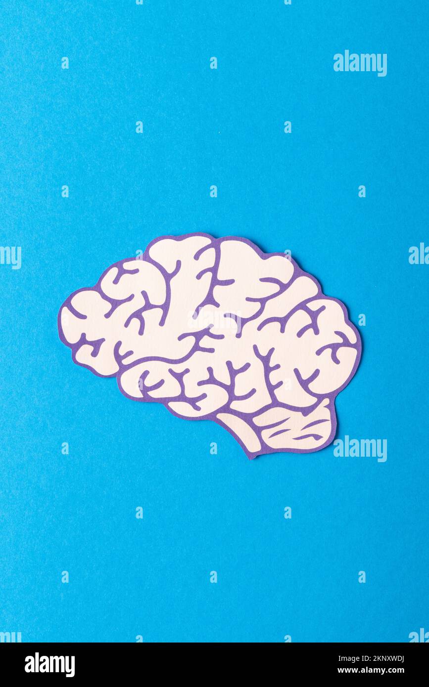 Composition verticale du cerveau humain blanc et violet, sur fond bleu avec espace de copie Banque D'Images