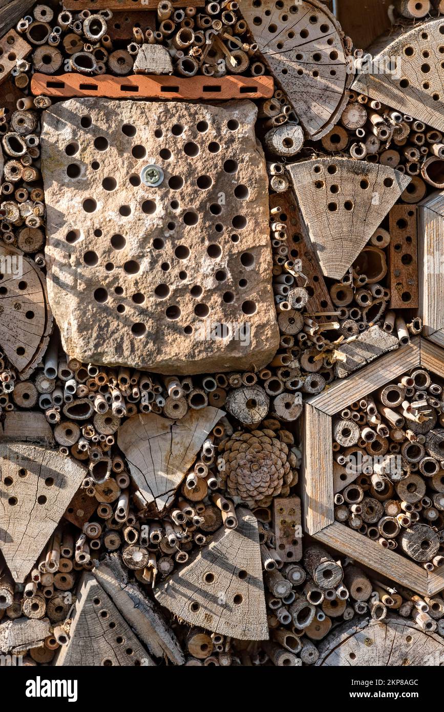 Hôtel d'insectes en matériaux naturels tels que l'argile, la pierre, la brique, le bois, la paille, Tiges de plantes, Ober Lais nature conservation Group, Hesse, Allemagne, Euro Banque D'Images