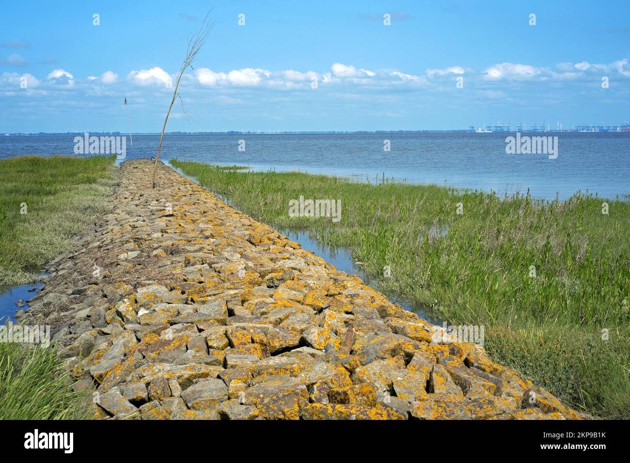 Fedderwardersiel dans le district de Wesermarsch estuaire du Weser à marée haute en arrière-plan le quai de la rivière Bremerhaven, Allemagne, Europe Banque D'Images
