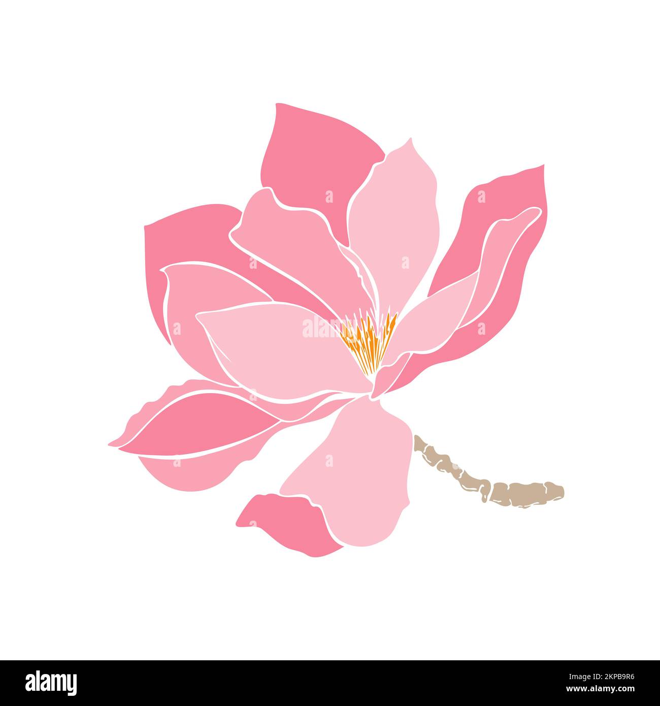 Magnolia aux pétales rose pastel, sans contour, croquis à la main. Pour l'impression, les autocollants, les cartes, les invitations, les motifs. Illustration vectorielle Illustration de Vecteur