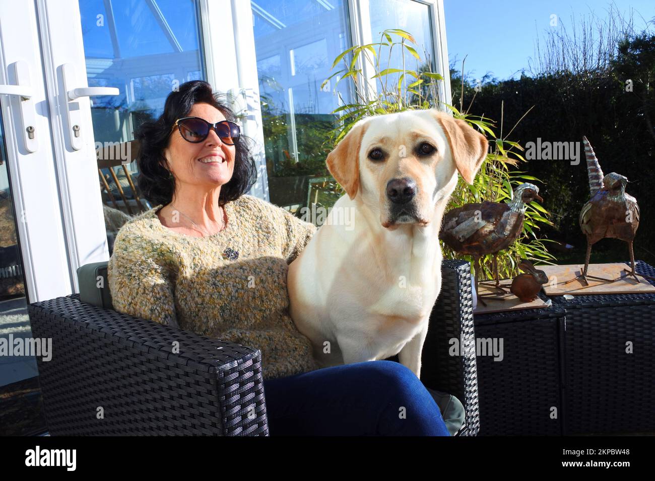 Belle femme mature assise sur un patio avec son animal de compagnie jaune labrador Retriever - John Gollop Banque D'Images