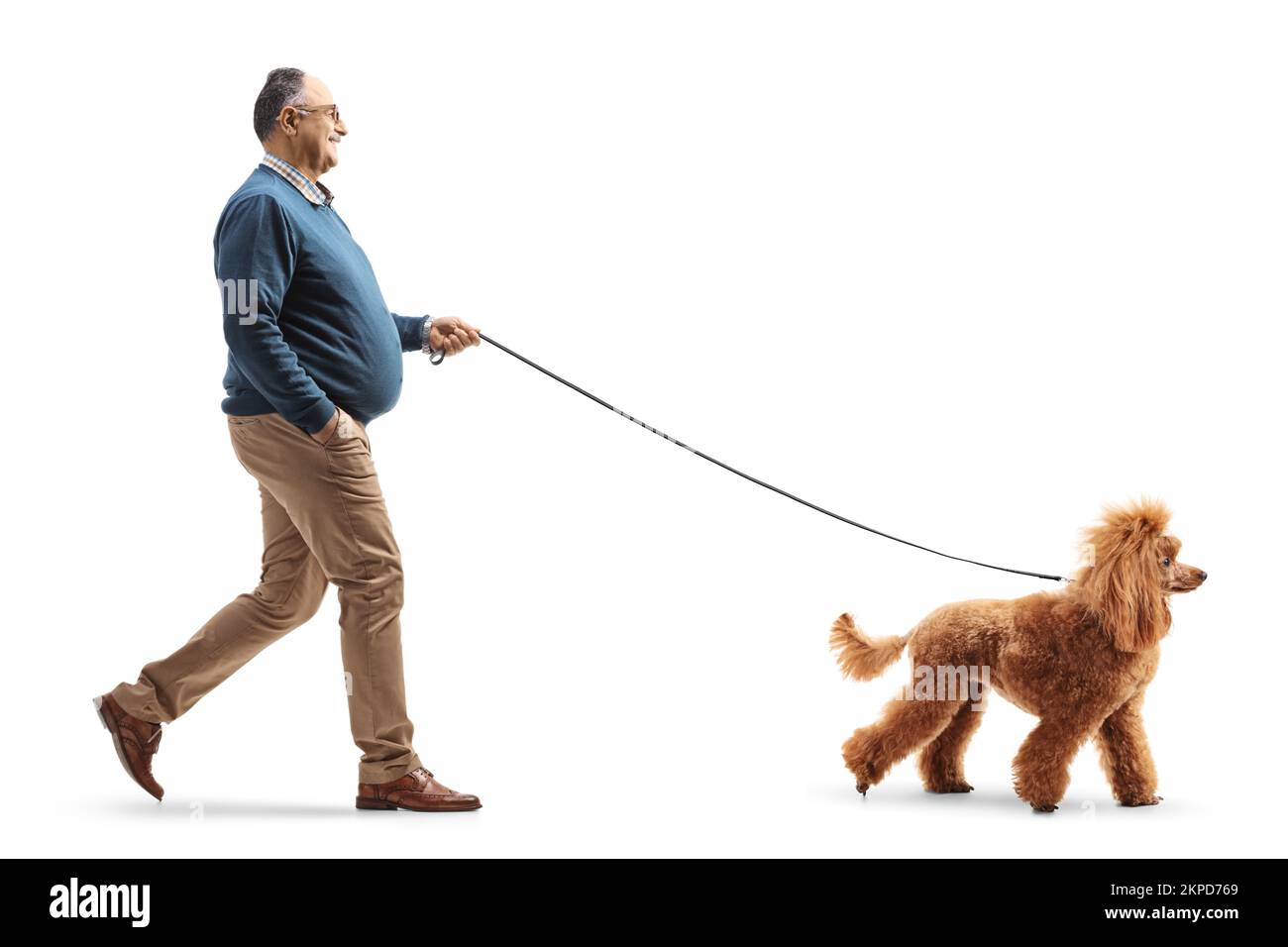 Prise de vue sur toute la longueur d'un homme mûr marchant sur un chien de caniche rouge isolé sur fond blanc Banque D'Images