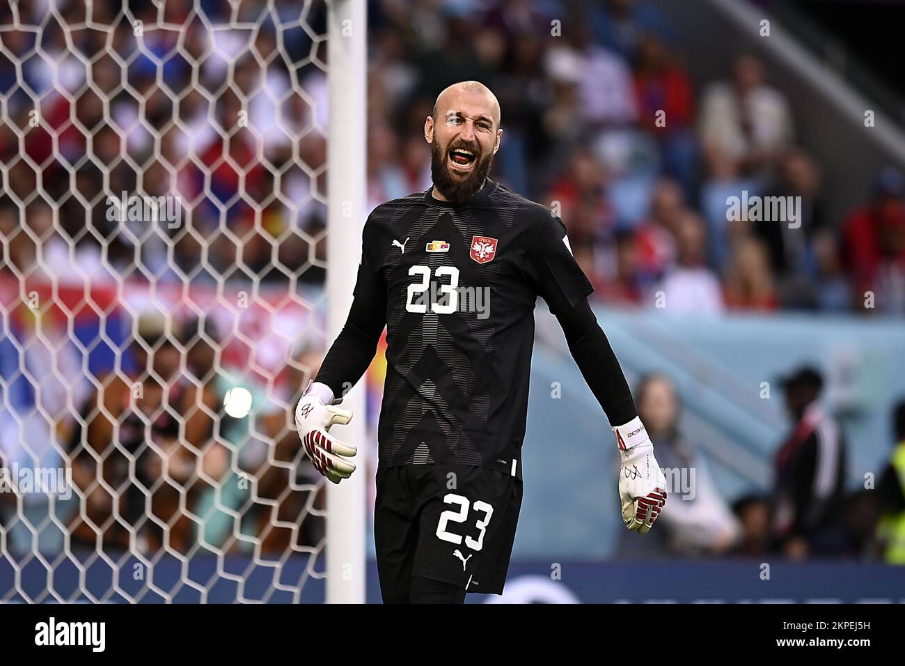 Al Janoub, Qatar. 28th novembre 2022. Foto Fabio Ferrari/Lapresse 28 novembre 2022 Stade Al Janoub, Qatar - Sport - Calcio - Qatar 2022 - Coppa del Mondo Fifa - Camerun vs Serbie - Gruppo G - Fase a Gironi - .Nella foto:Dmitrovic Marko 28 novembre 2022 Al Janoub Stadium, Qatar - sport - football - Qatar 2022- coupe du monde de la Fifa - Cameroun / Serbie - Groupe G - scène de groupe - . Dans le pic: Dmitrovic Marko/ PRESSINPHOTO/Sipa USA crédit: SIPA USA/Alay Live News Banque D'Images