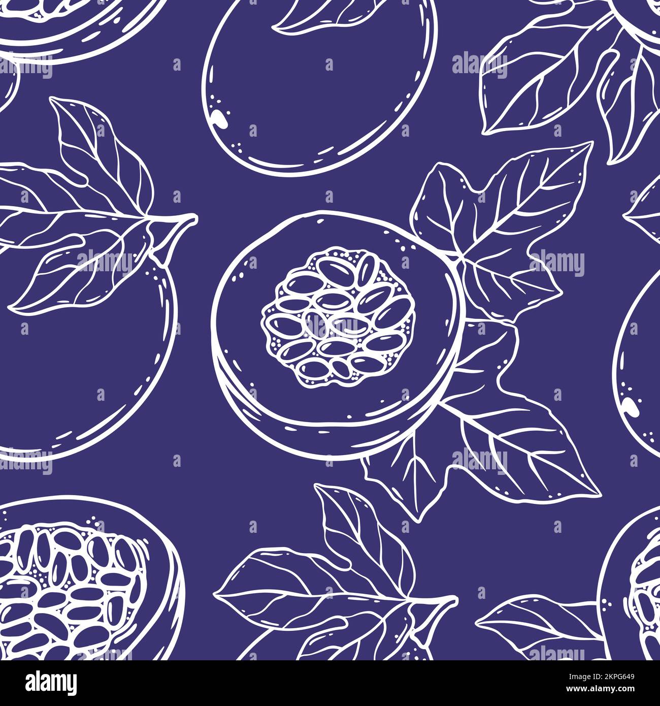 PASSION FRUIT PATTERN Delicicy Dilicacy entier et des tranches pour le design de produits naturels bio Boutique et dessert boissons en style esquisse Violet Seamle Illustration de Vecteur