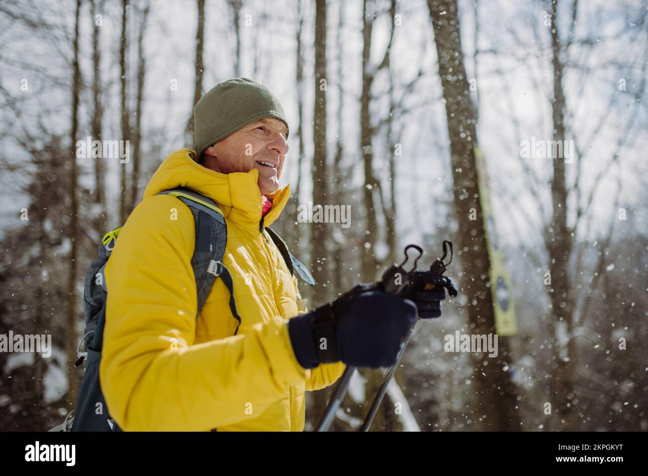 Homme senior admirant la nature pendant le ski de fond. Banque D'Images