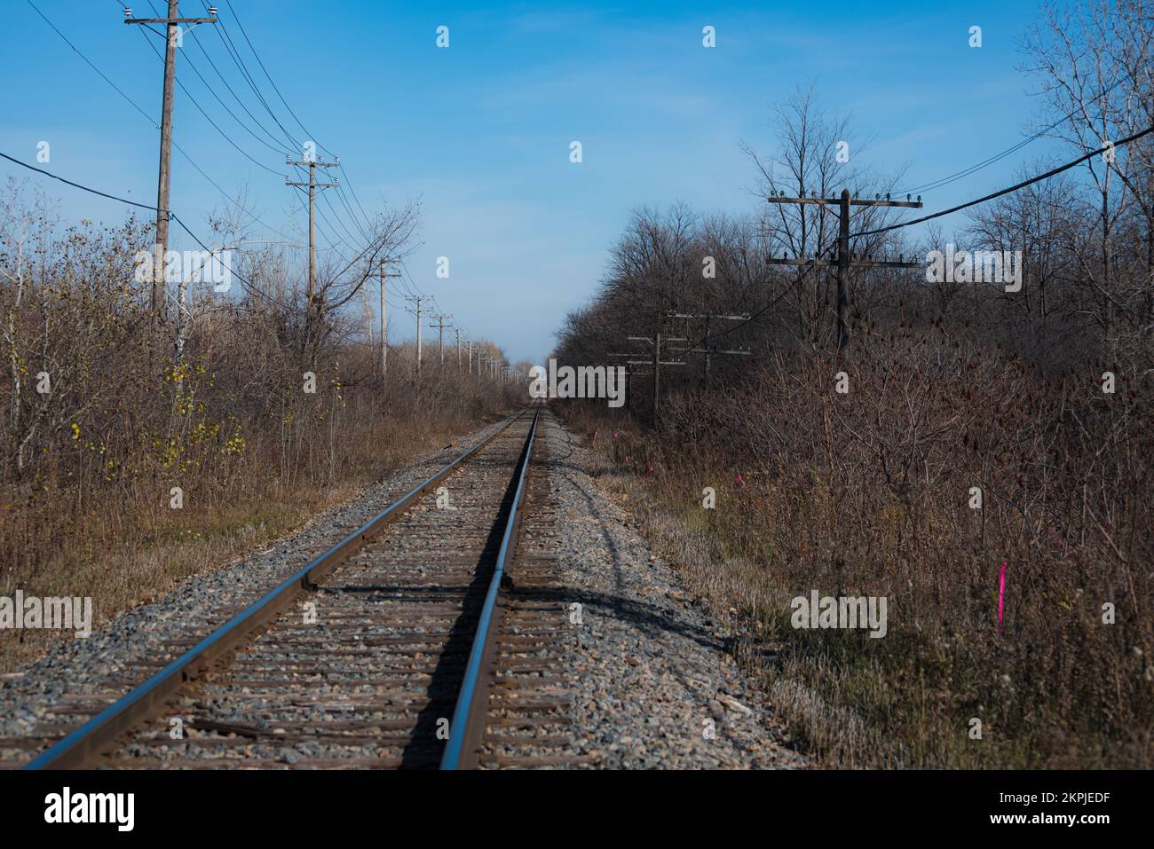 Chemin de fer qui longe le bois Papineau Laval Québec Canada. Chemin de