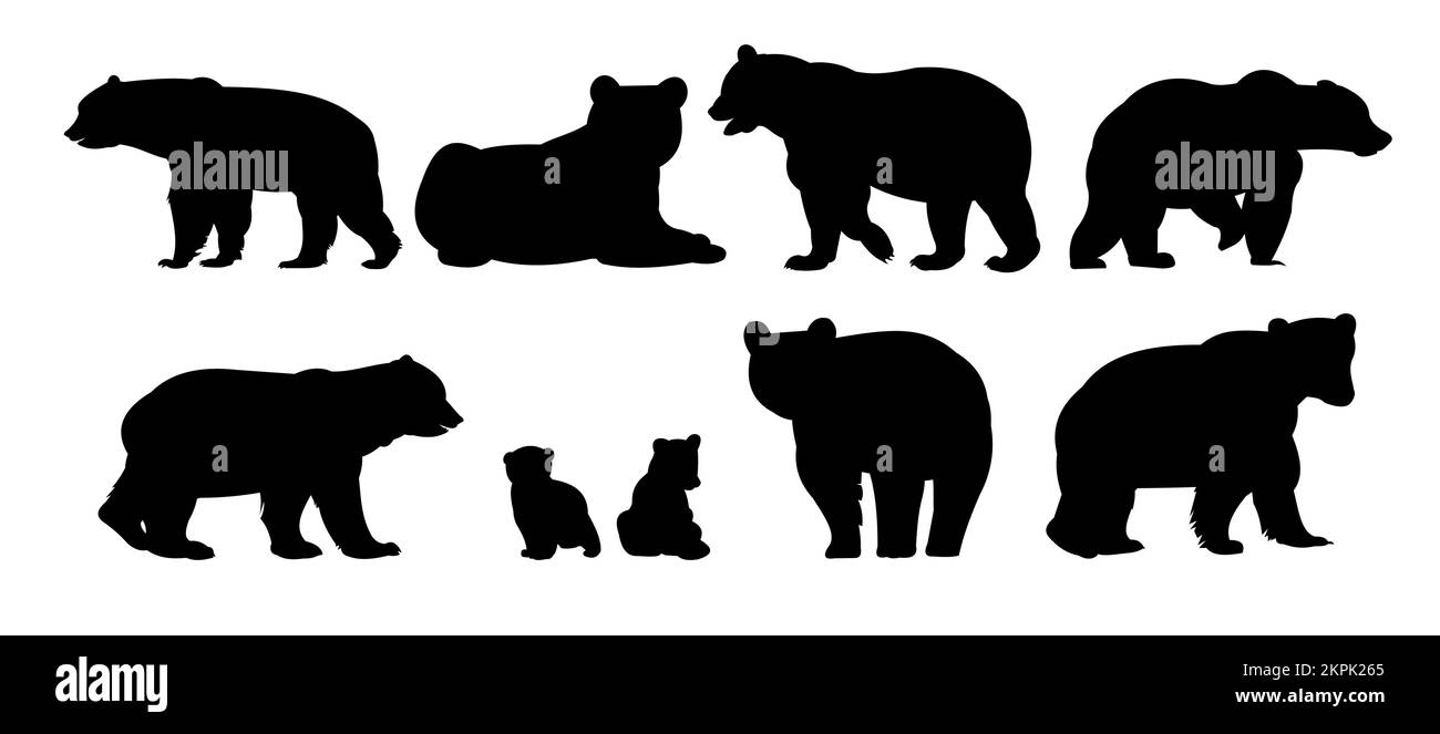Ensemble d'ours mâles et femelles avec des petits. Animaux sauvages. Silhouette. Isolé sur fond blanc. Vecteur. Illustration de Vecteur