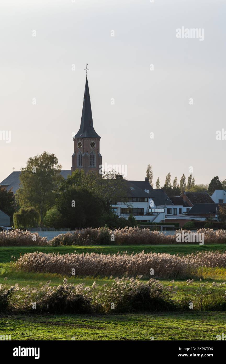 Vue sur l'Escaut, la végétation et le village en arrière-plan, Berlare, Flandre, Belgique Banque D'Images