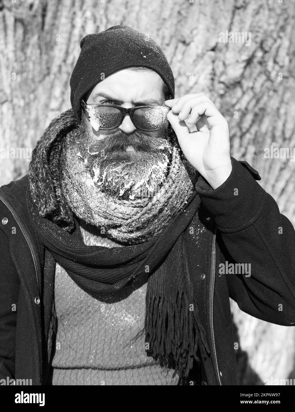 Grenouille barbu, hipster, avec barbe et moustache en chapeau, foulard regarde sous des lunettes de soleil noires recouvertes de givre blanc près de l'arbre le jour de l'hiver Banque D'Images Grenouille barbu, hipster, avec barbe et moustache en chapeau, foulard regarde sous des lunettes de soleil noires recouvertes de givre blanc près de l'arbre le jour de l'hiver Banque D'Images