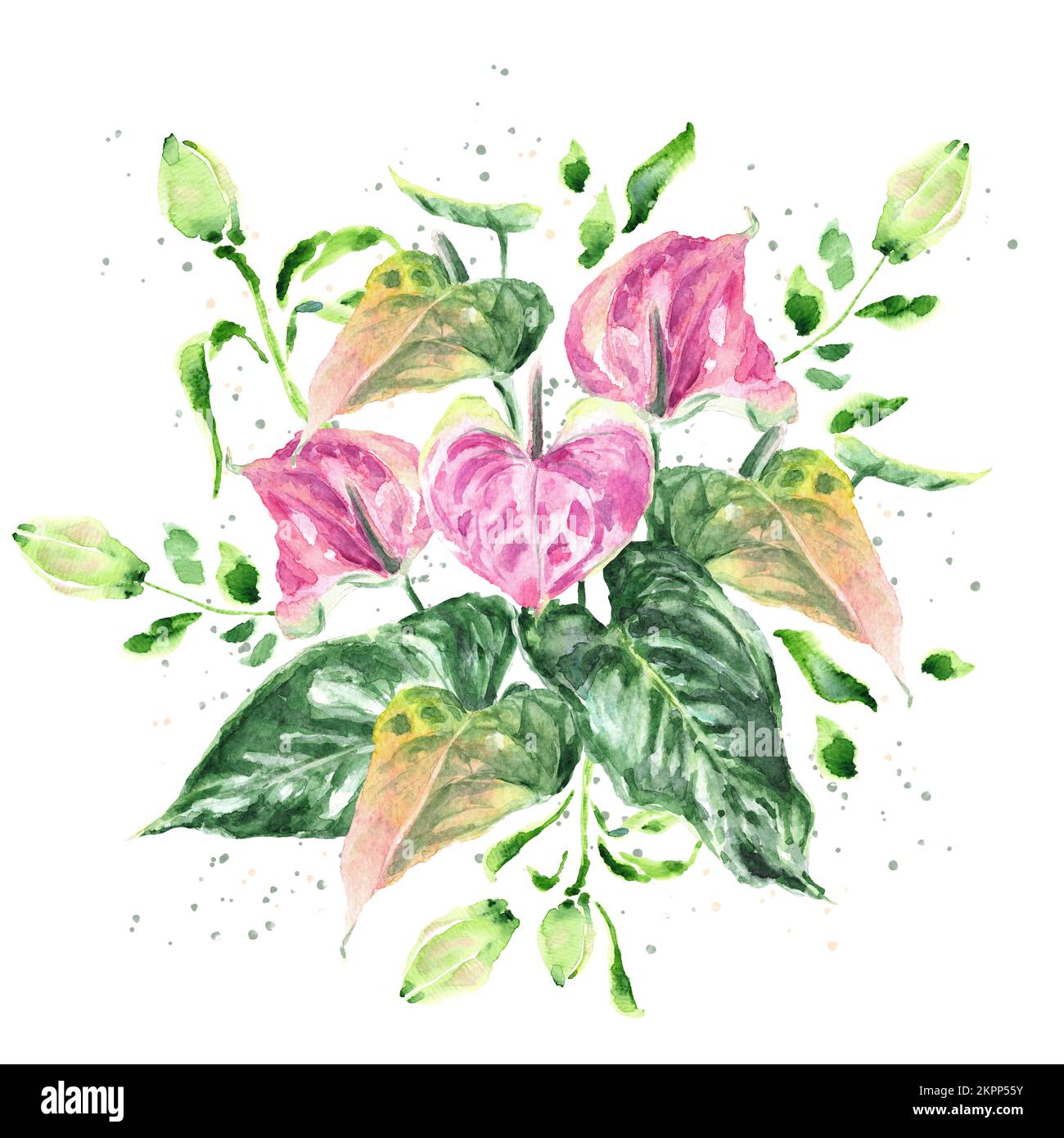 Bouquet de fleurs d'Anthurium (Fleur Flamingo) et bourgeons de nénuphars. Illustration réaliste aquarelle dessinée à la main isolée sur fond blanc. Banque D'Images