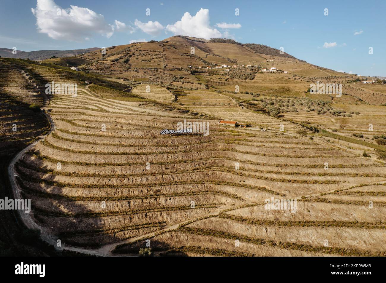 Vue aérienne de la vallée du Douro. Vignobles en terrasse et paysage près de Pinhao, Portugal. Région viticole portugaise. Beau paysage d'automne.concept pour le travail Banque D'Images