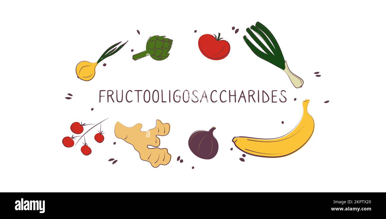 Aliments contenant des fructooligosaccharides. Groupes de produits sains contenant des vitamines et des minéraux. Ensemble de fruits, légumes, viandes, poissons et produits laitiers Illustration de Vecteur