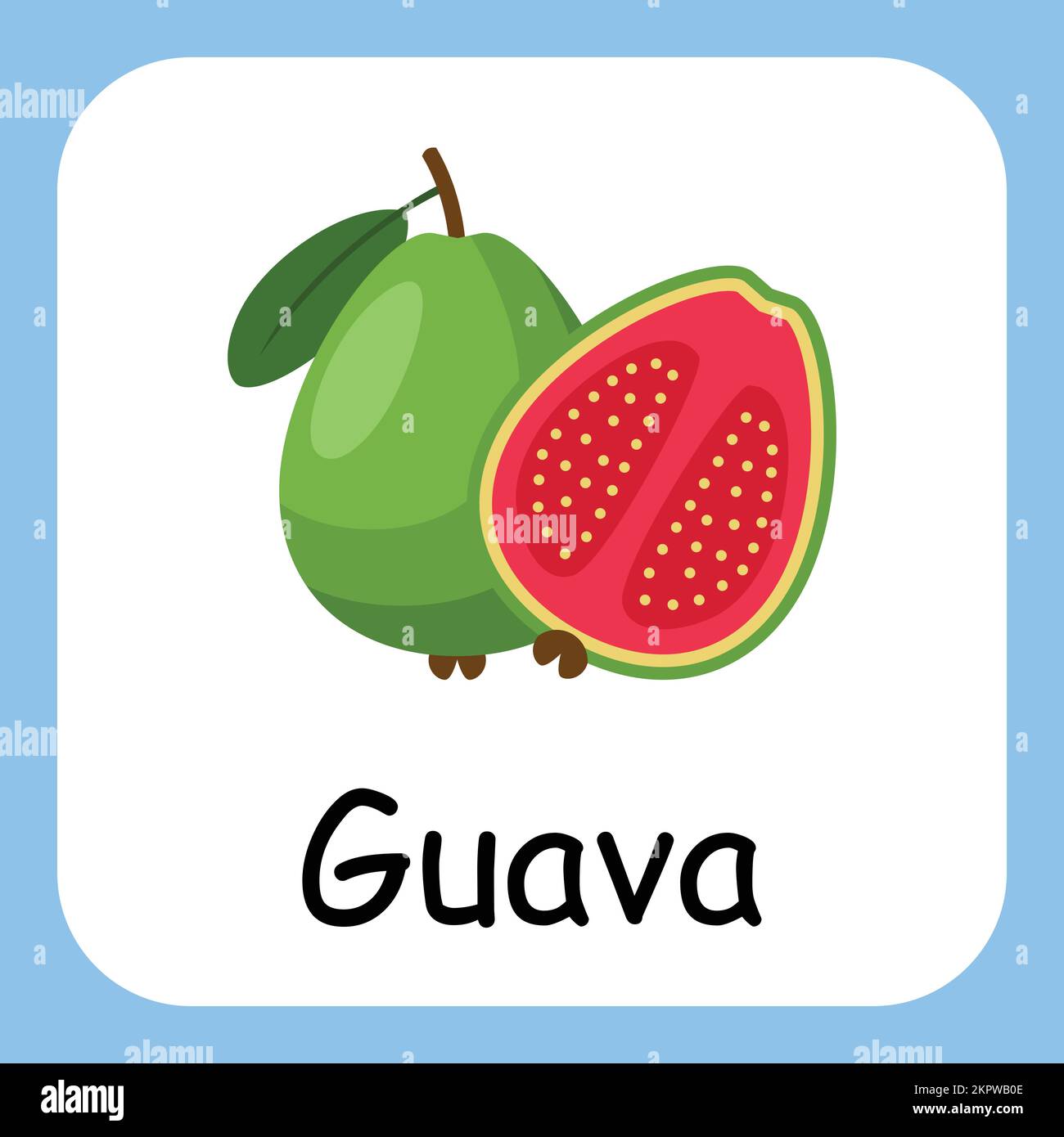 Guava clip art avec texte, conception plate. Éducation pour les enfants. Illustration vectorielle Illustration de Vecteur