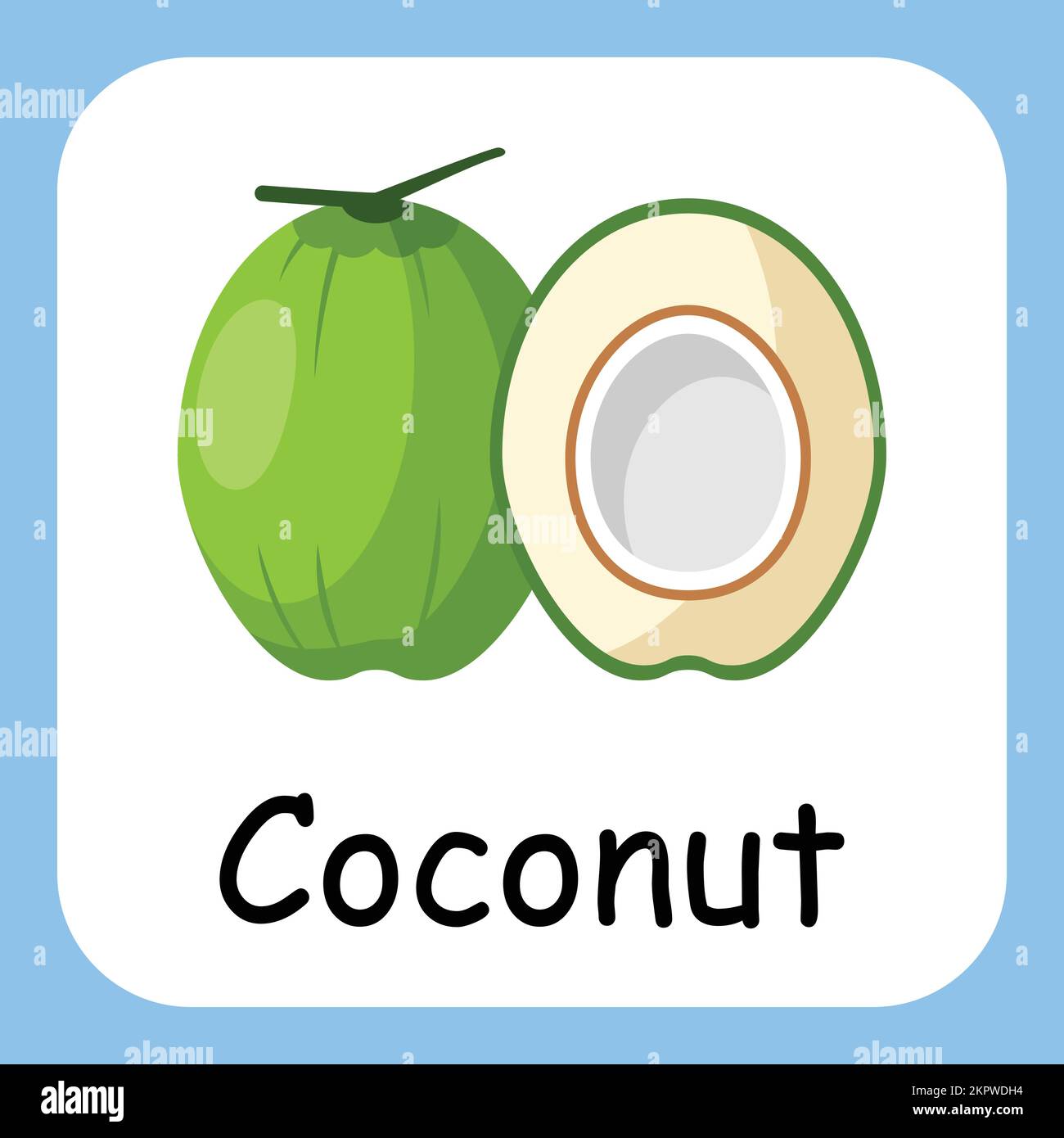 Clip art noix de coco avec texte, conception plate. Éducation pour les enfants. Illustration vectorielle Illustration de Vecteur