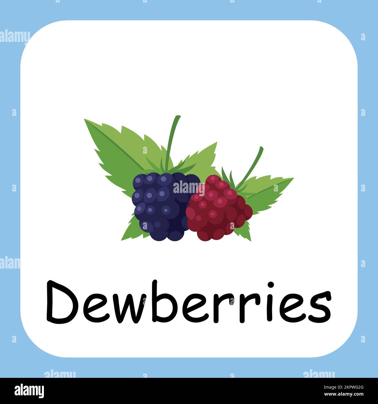 Dewberries clip Art, Illustration pour enfants, illustration de fruits de dessin animé Illustration de Vecteur