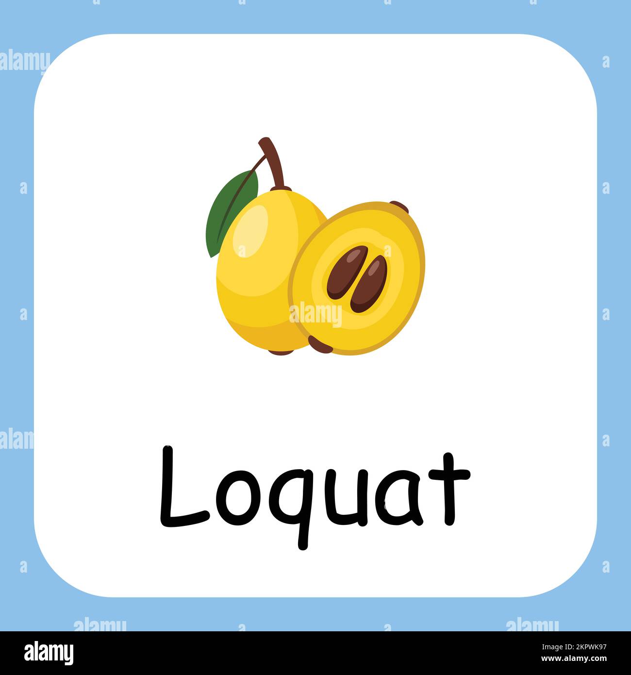 Loquat clip art avec texte, conception plate. Éducation pour les enfants. Illustration vectorielle Illustration de Vecteur