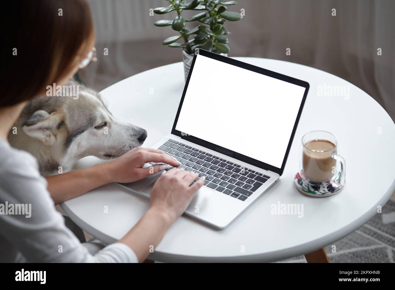 Mockup blanc écran portable femme avec un chien utilisant l'ordinateur tout en étant assis à la table à la maison, vue arrière Banque D'Images