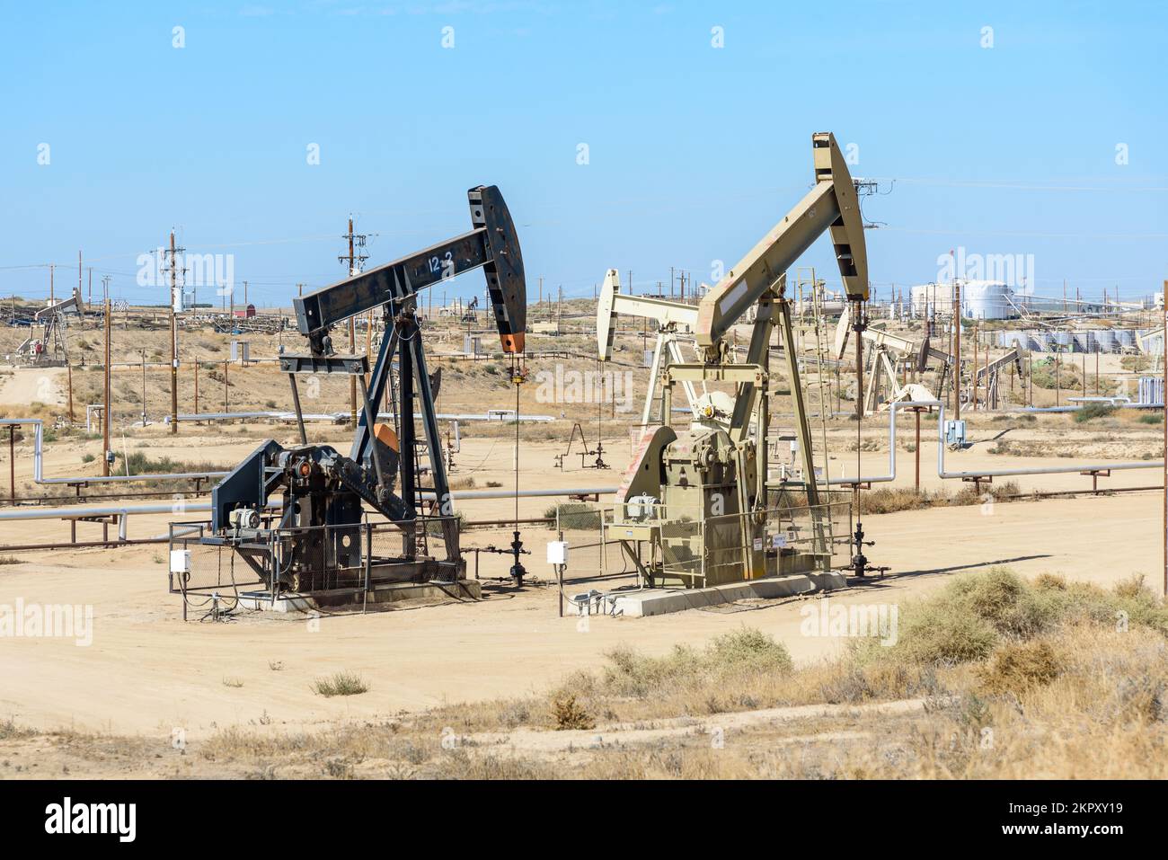 Champ de pétrole sous ciel bleu en automne Banque D'Images