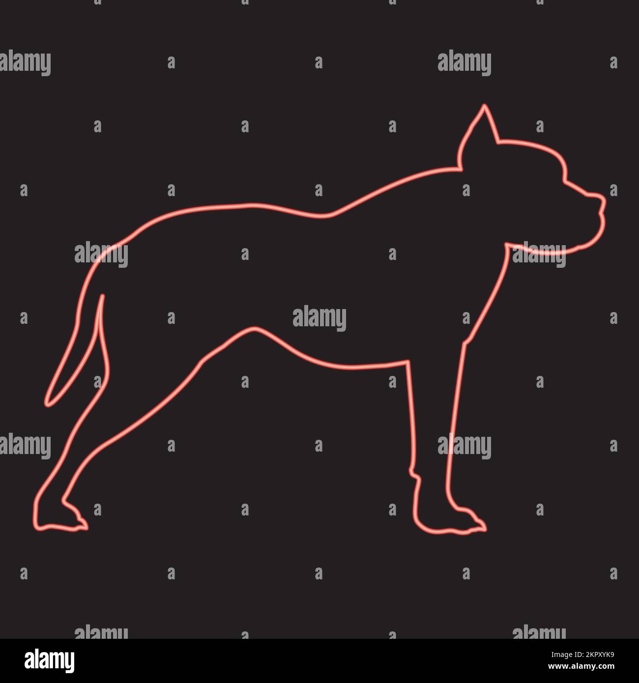 Néon noyau taureau terrier rouge couleur vecteur illustration image plat style lumière Illustration de Vecteur