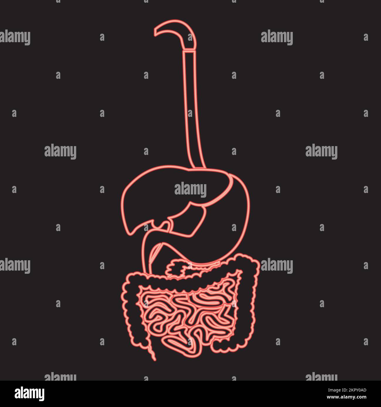 Système digestif néon rouge couleur vecteur illustration image plat style lumière Illustration de Vecteur