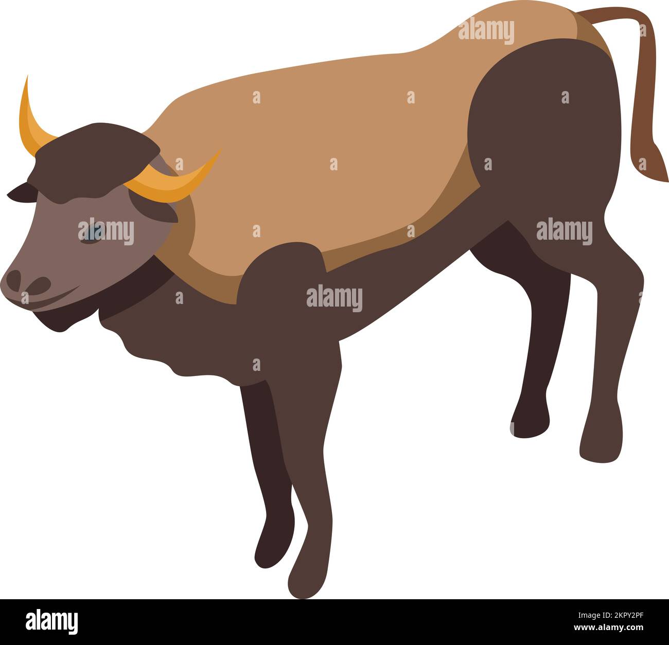 Icône bison vecteur isométrique. Américain sauvage. Animal sauvage Illustration de Vecteur