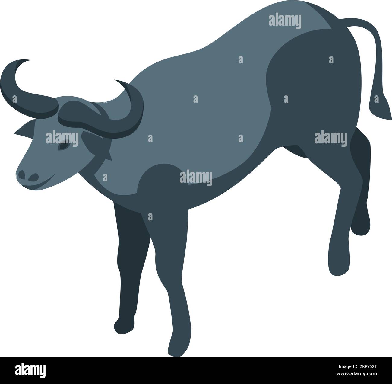 Vecteur isométrique d'icône de buffle noir. Bison américain. Eau sauvage Illustration de Vecteur