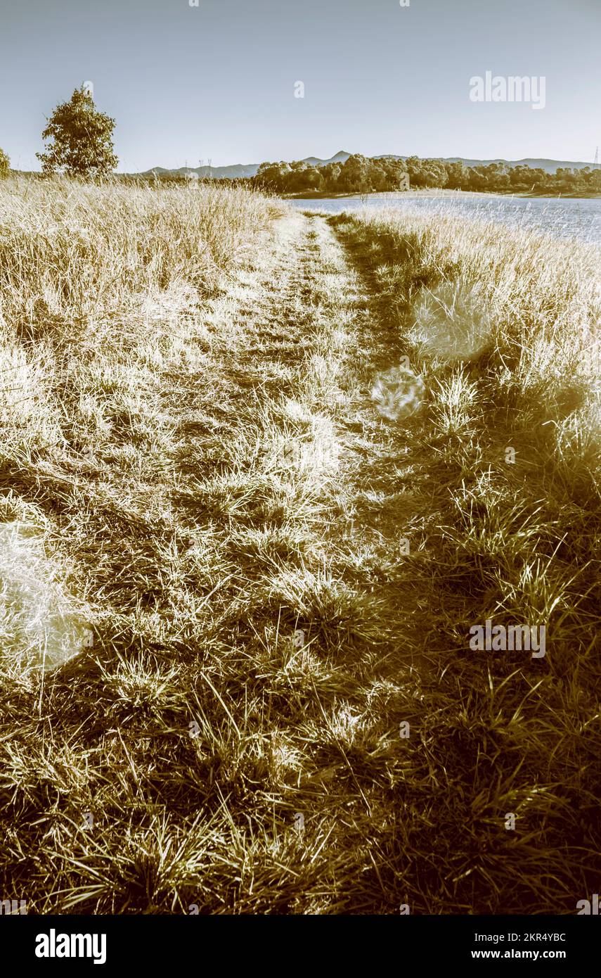 Aventure estivale de fuite avec un chemin dégagé dans la plaine de terre agricole hors woop woop. Petrie, Queensland, Australie Banque D'Images