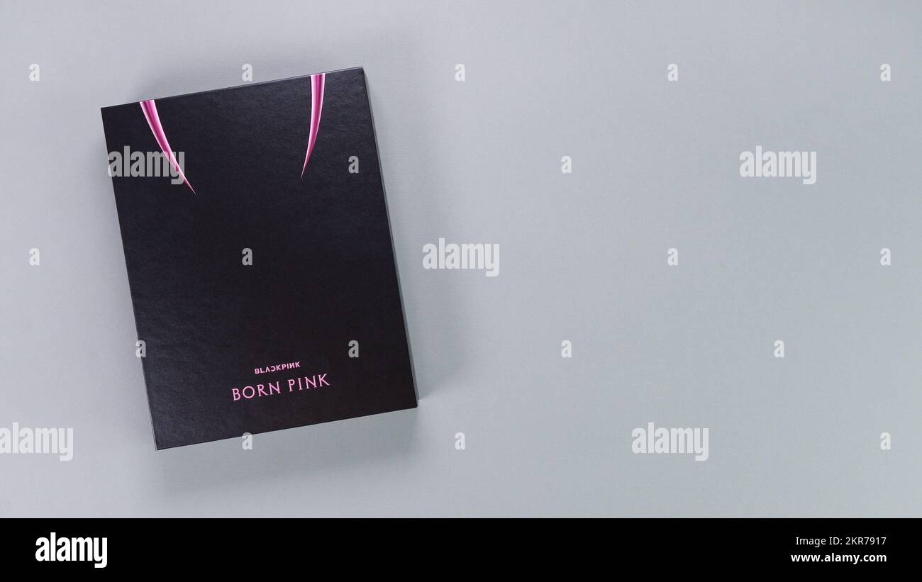 Pack 12 Stylos Blackpink Effaçables - Merchandising Kpop - Cadeaux Fans - 12