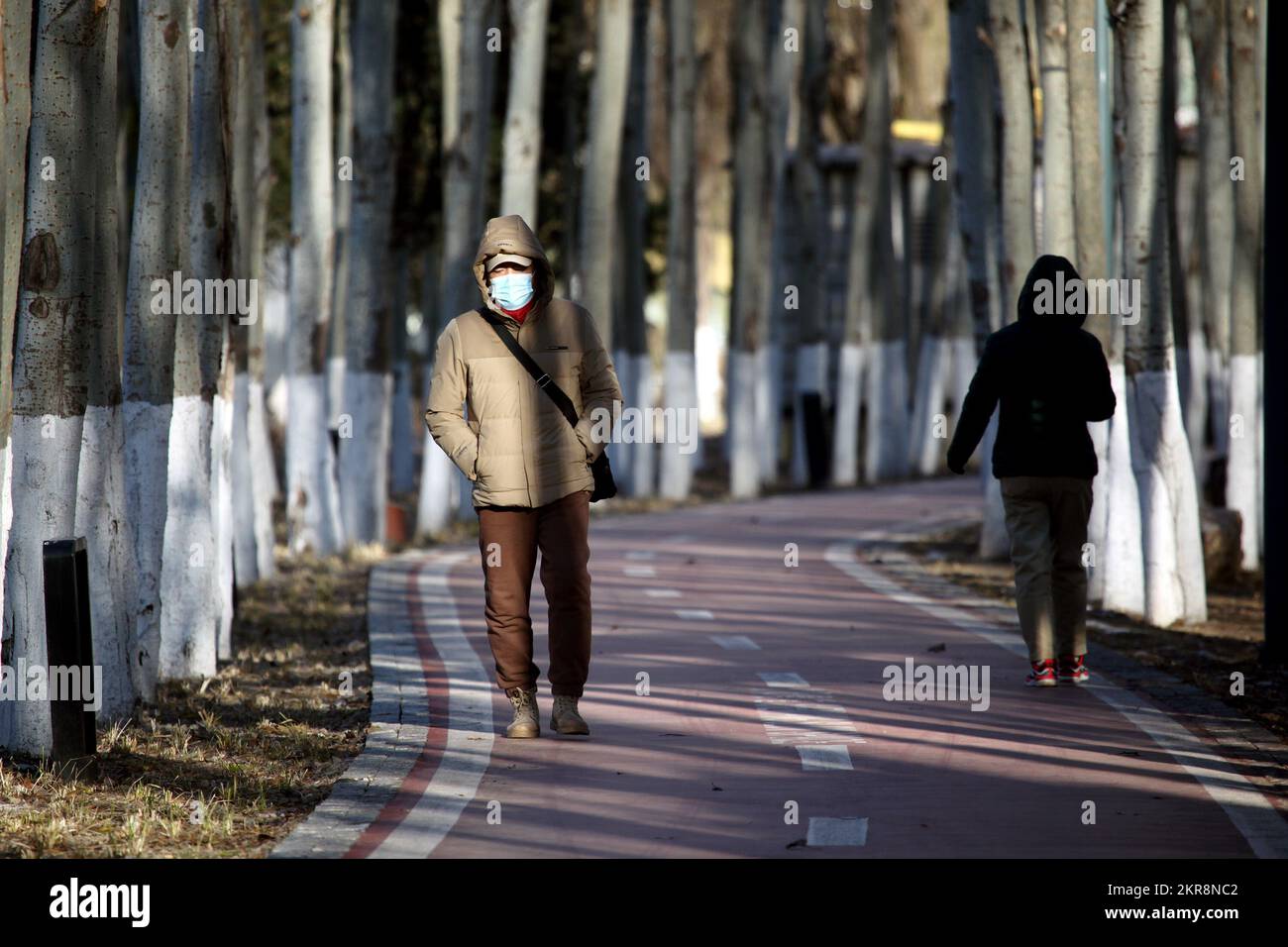 SHENYANG, CHINE - 29 NOVEMBRE 2022 - les voyageurs portent des vêtements d'hiver épais pour se maintenir au chaud, car la température la plus basse atteint -16 C à Shenyang, Liaoni Banque D'Images