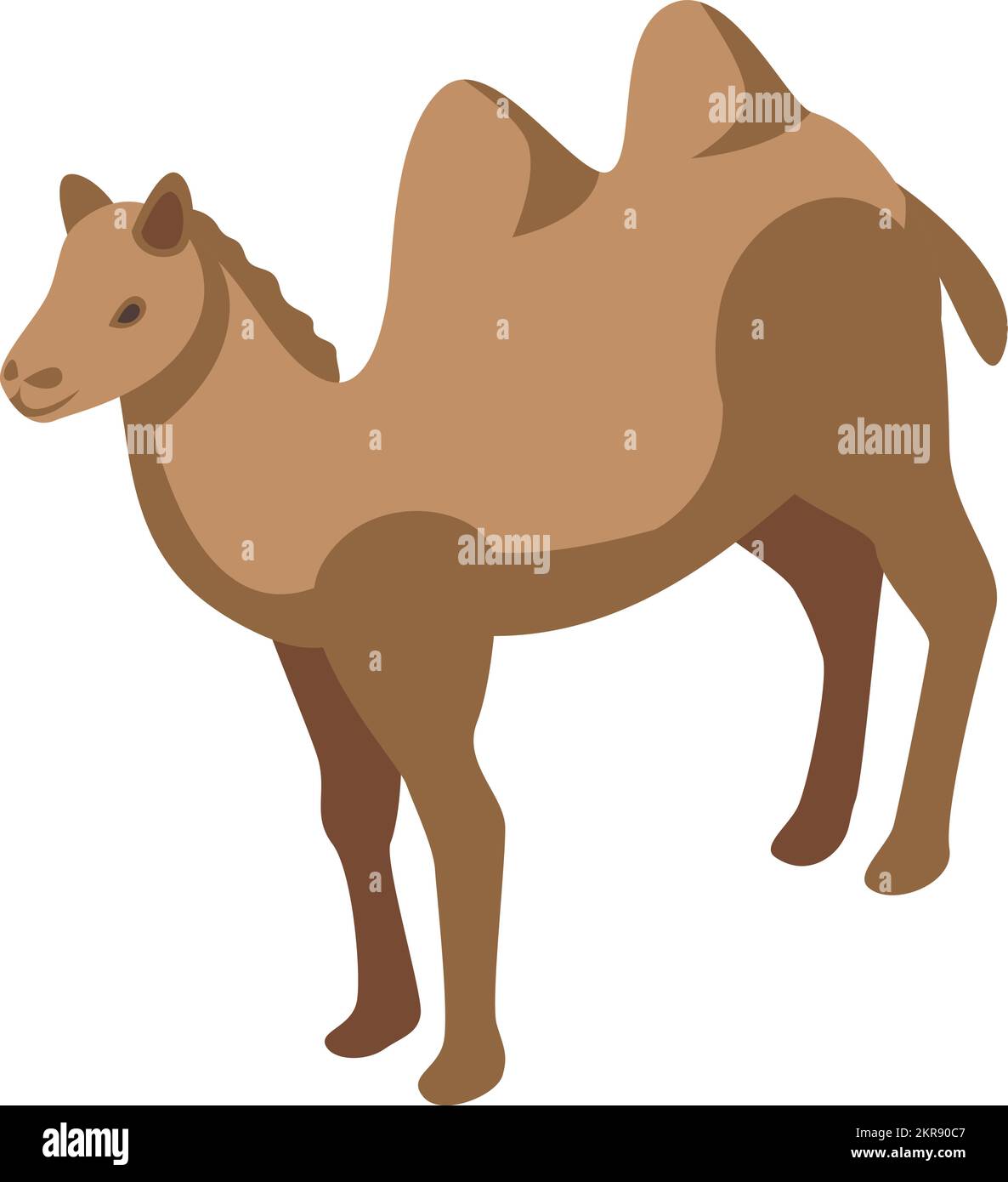 Vecteur isométrique de l'icône de chameau bédouin. Camp dans le désert. Islamique arabe Illustration de Vecteur