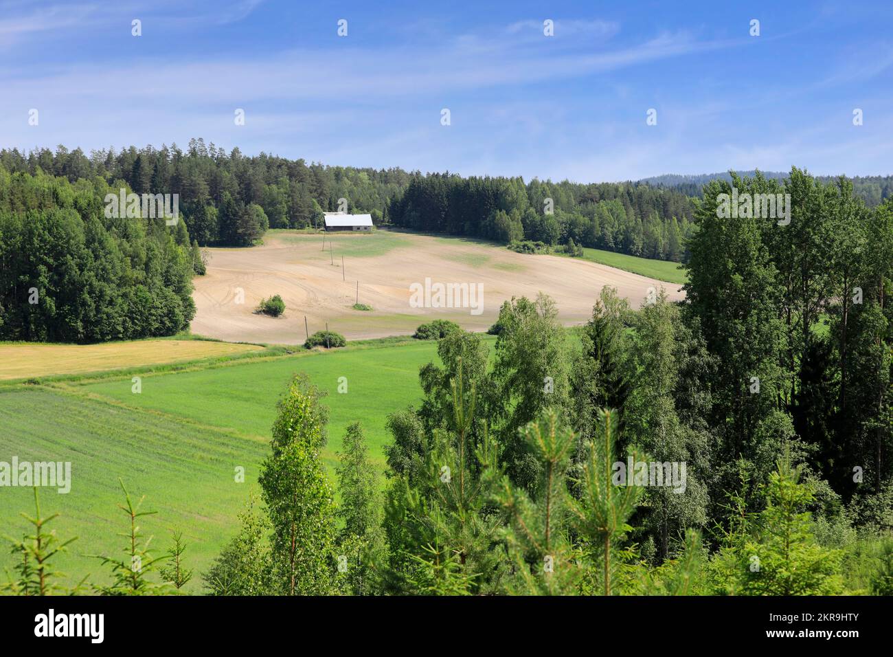 Paysage rural avec forêt, champs agricoles et un bâtiment de ferme à l'horizon, un beau jour ensoleillé de juin. Banque D'Images