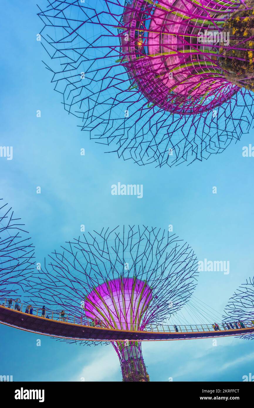 Vue sur la canopée de Supertrees et le Skyway de l'OCBC à Gardens by the Bay, Singapour Banque D'Images