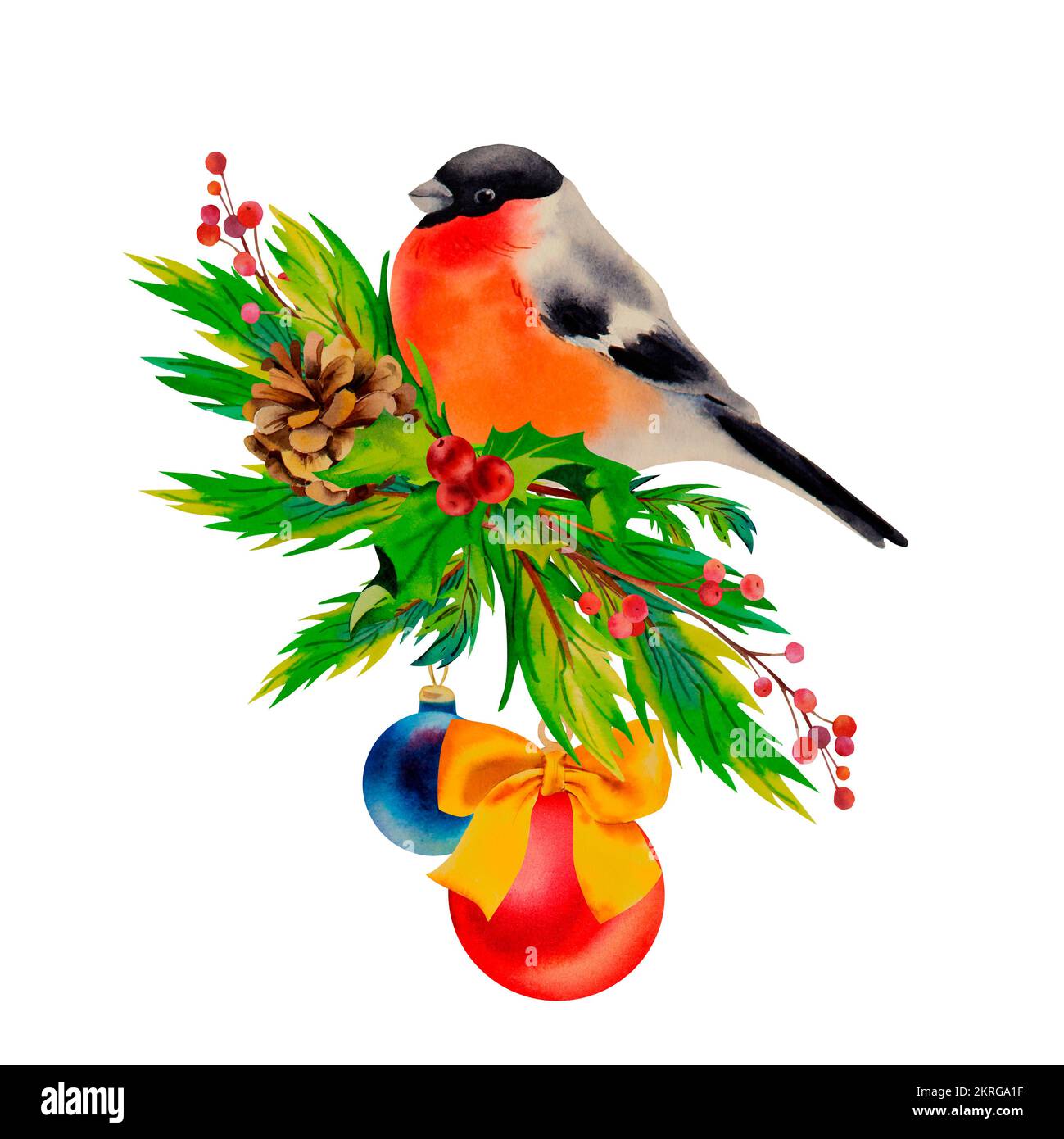 Bullfinch sur une branche de sapin avec une balle du nouvel an. Bullfinch et balle rouge. Ballon du nouvel an avec un arc. GUI, cônes,. Illustration aquarelle Banque D'Images