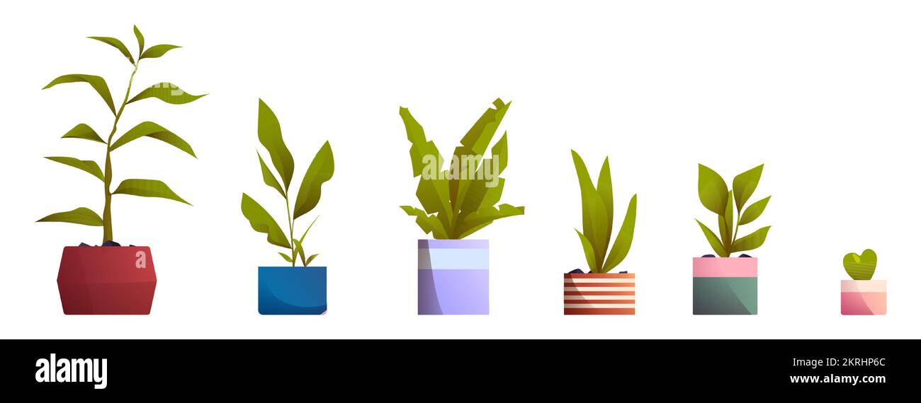 Plantes dans des pots pour la décoration intérieure de maison et de bureau. Vases avec fleurs, plantes à la maison avec feuilles vertes isolées sur fond blanc, illustration de dessin animé vectoriel Illustration de Vecteur