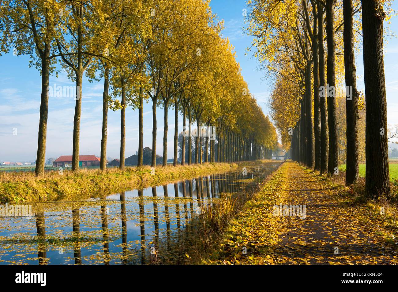 Canal de l’Espierres en automne, Leers-Nord, Belgique Banque D'Images