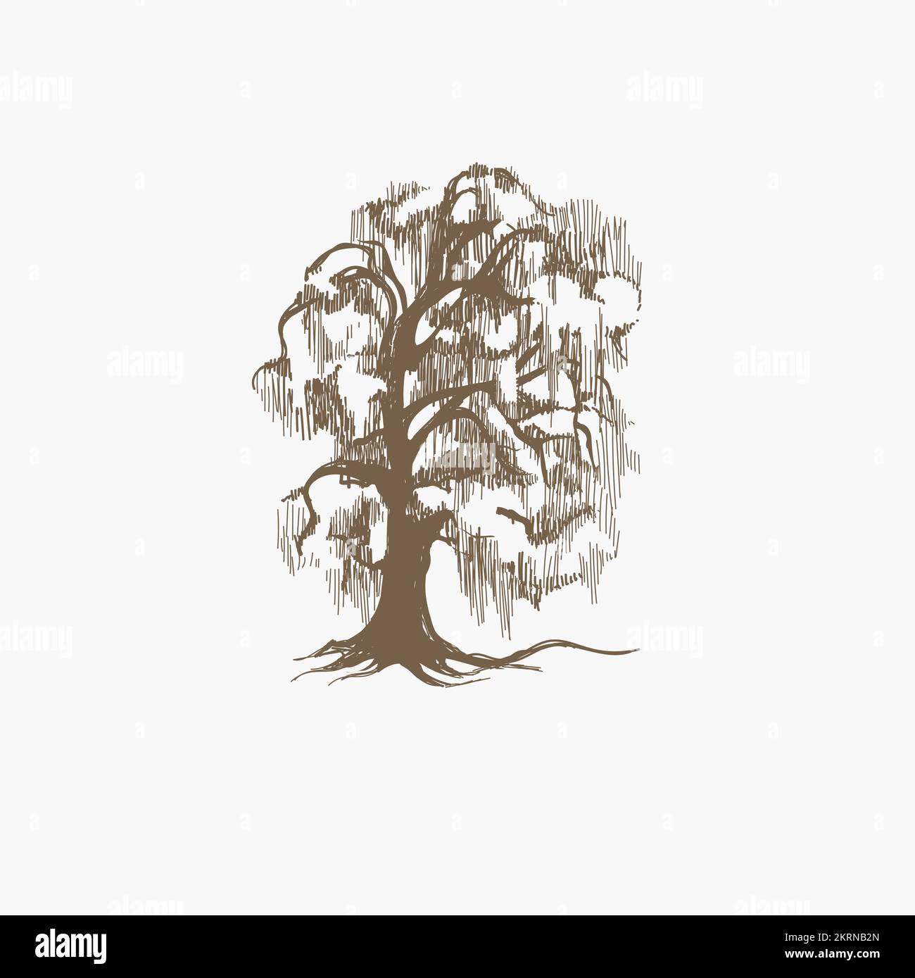 Motif arbre abstrait Cypress avec feuilles dans un style sophistiqué. Illustration de Vecteur