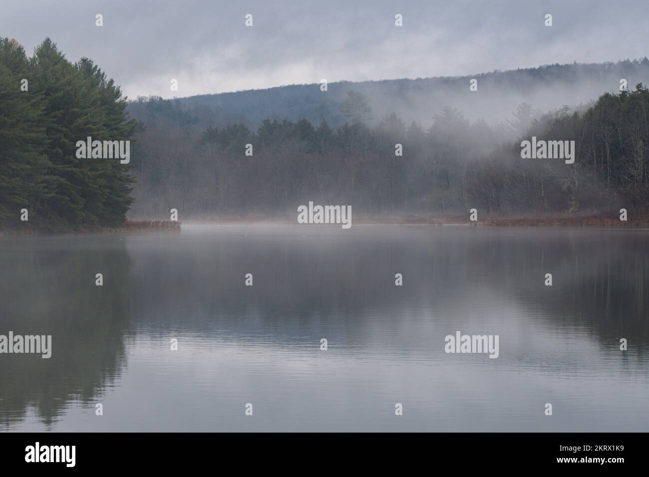 Moody Forest Lake pluie sombre brouillard sombre copie naturelle image de fond de l'espace Banque D'Images