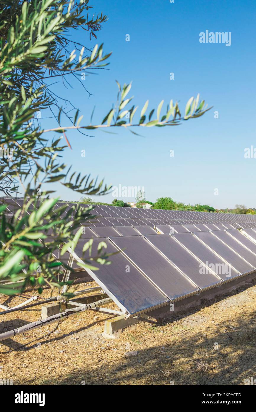 Vue verticale des panneaux solaires dans un champ par temps ensoleillé. Autre source d'électricité. Sources d'énergie durables. Copier l'espace Banque D'Images
